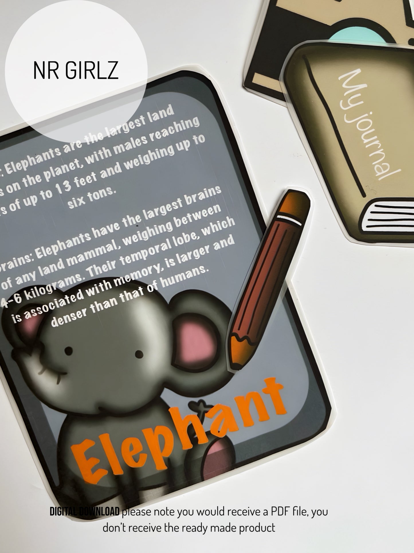 Safari Pretend Play Printable DIY Children's Activity